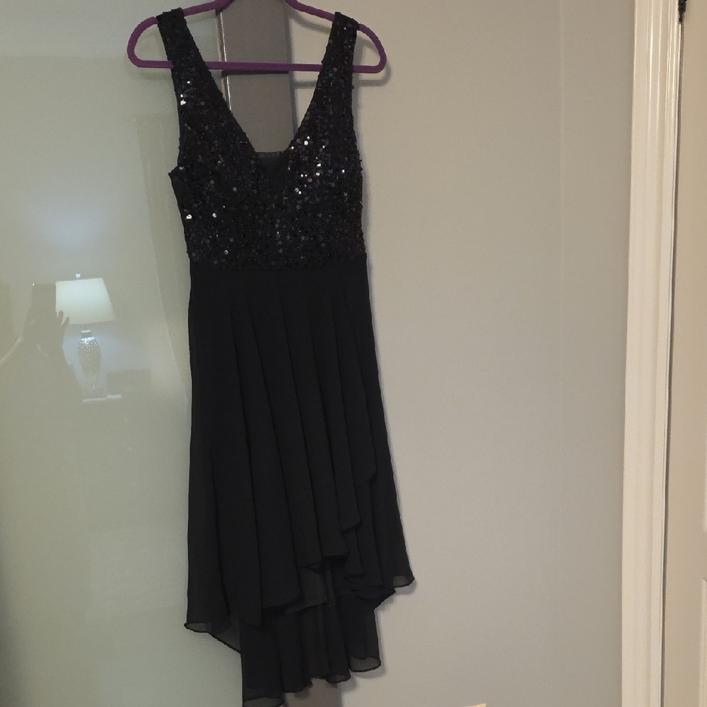 Le Chateau Fully Lined Black Sheer Dress With Sequins